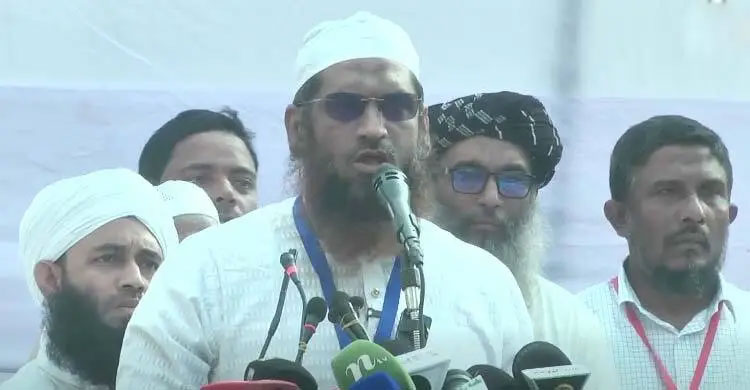 ১৩ নভেম্বর কোনো বাকশালপন্থিকে রাজপথে নামতে দেবো না: মামুনুল হক