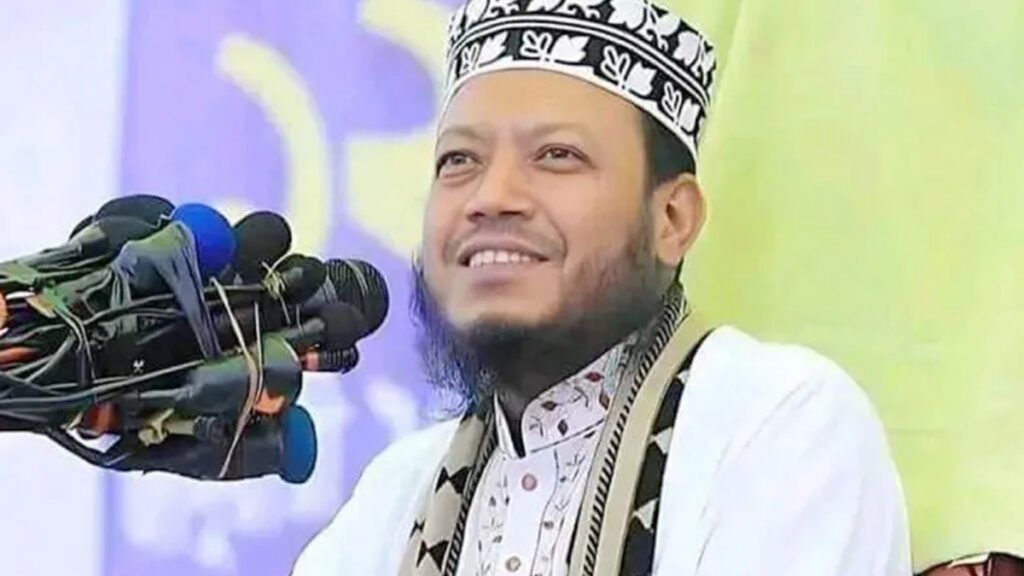 শপথের পর দুর্নীতি করিনি, অন্য সংসদ সদস্যদেরও চ্যালেঞ্জ আমির হামজার